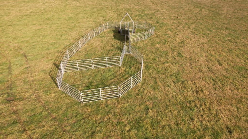 Portable Sheep Yard - 5