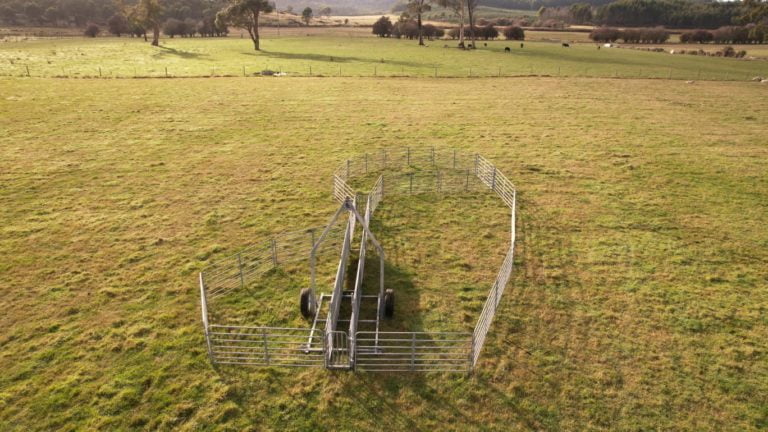 Portable Sheep Yard