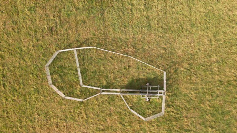Portable Sheep Yard
